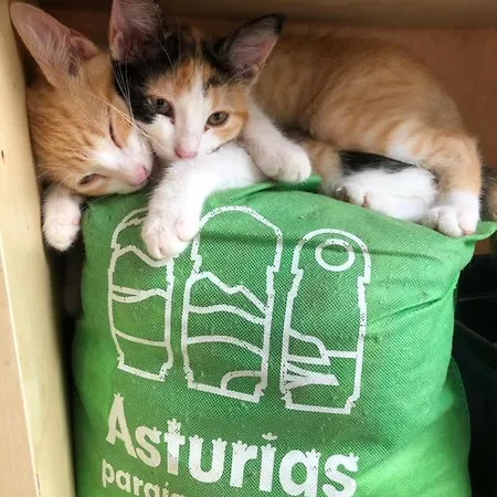 Casa De Aldea El Toral Ferienhaus