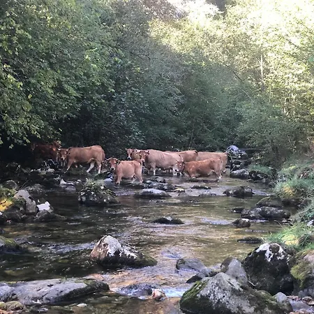 Ferienhaus Casa De Aldea El Toral Carrena de Cabrales